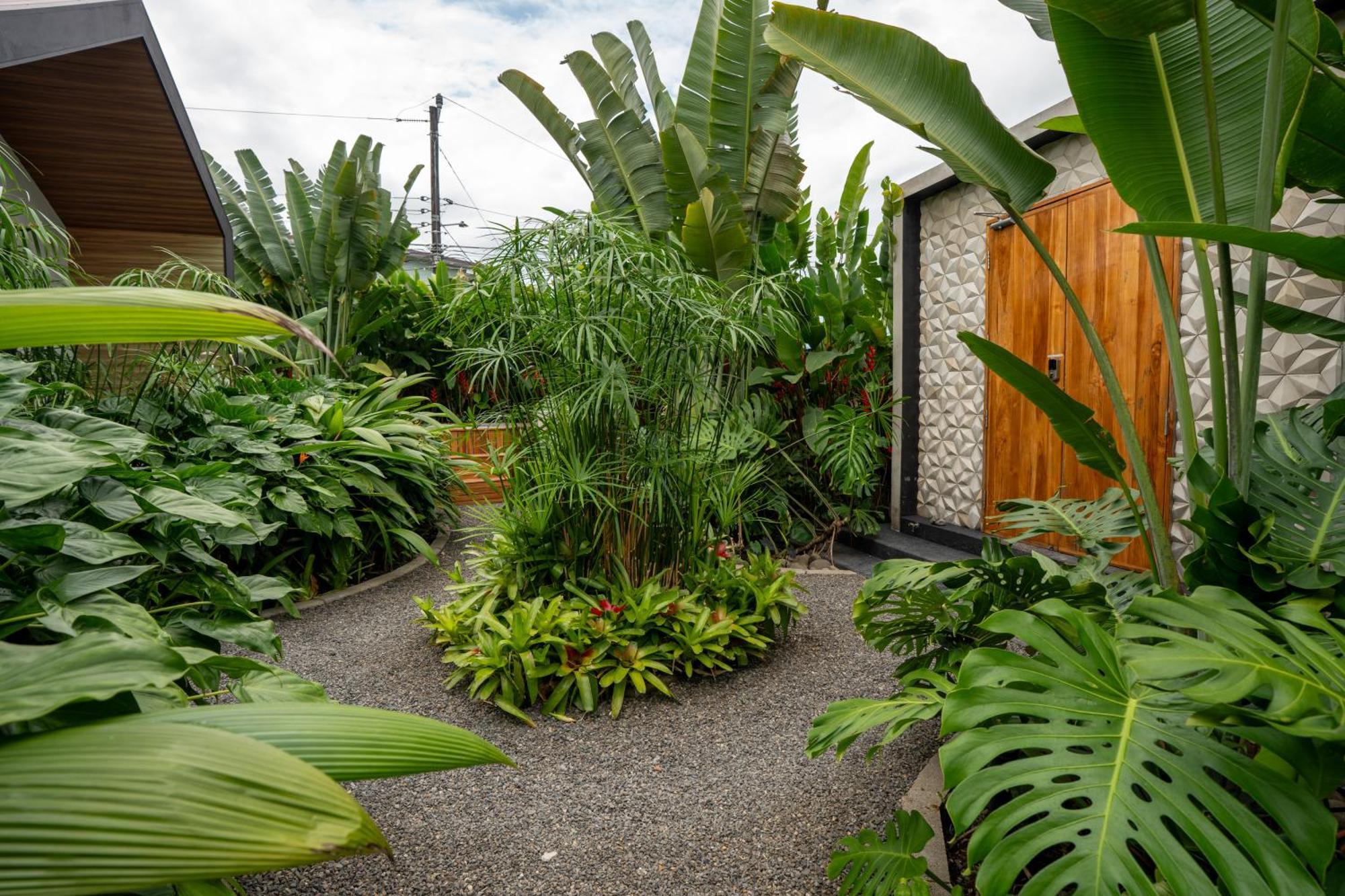 Suwa Arenal La Fortuna