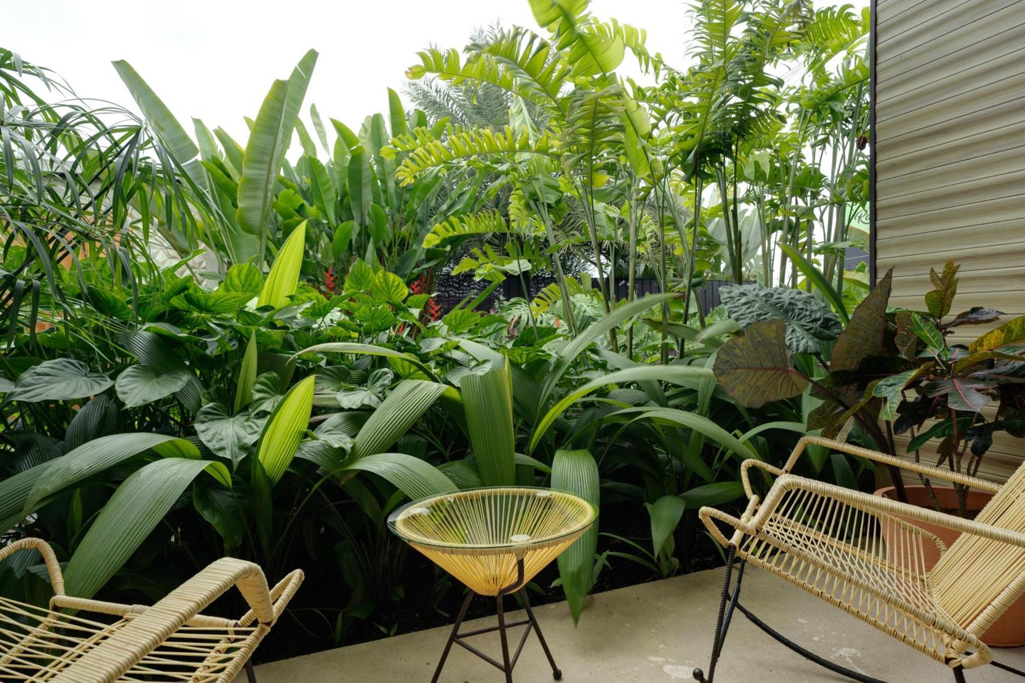 Suwa Arenal Villa La Fortuna