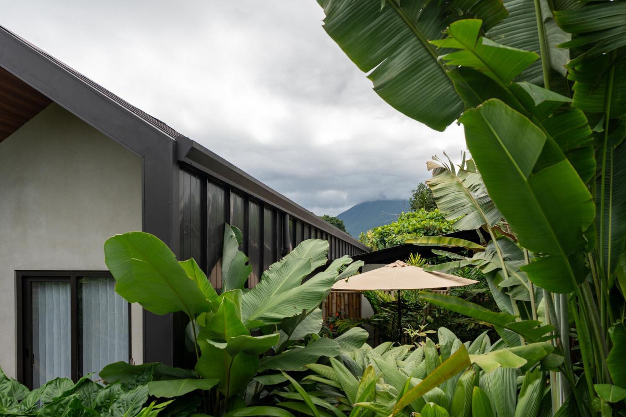 Suwa Arenal