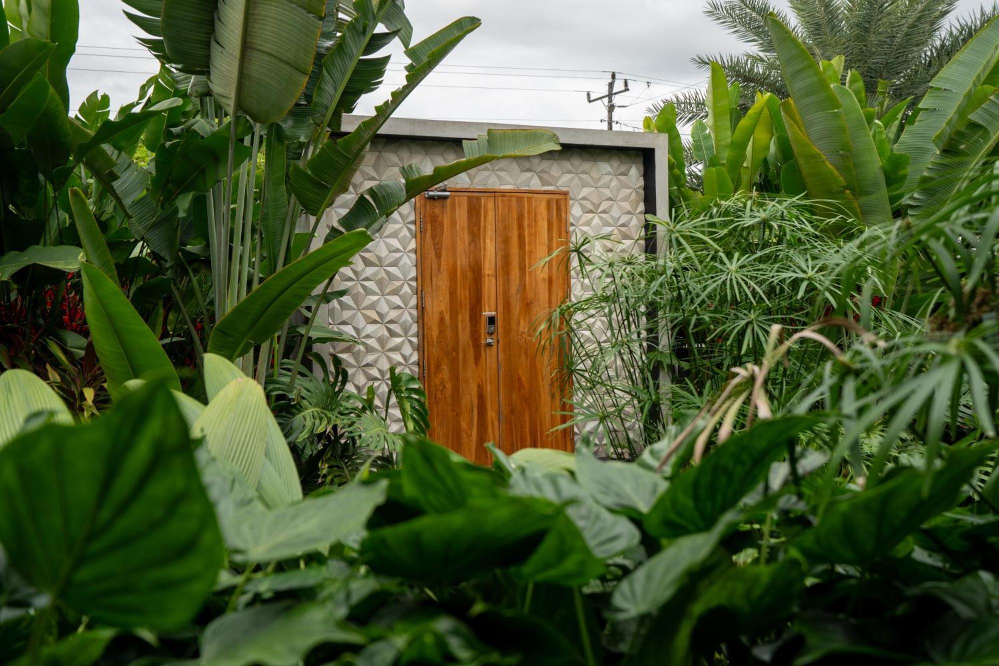 Suwa Arenal La Fortuna